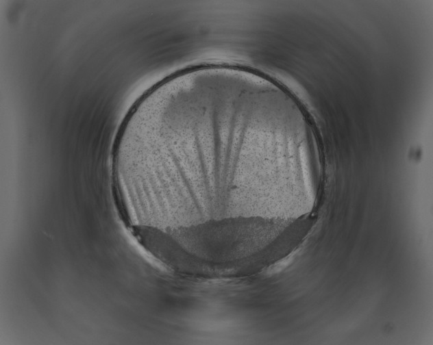 X0000088871335200707061339