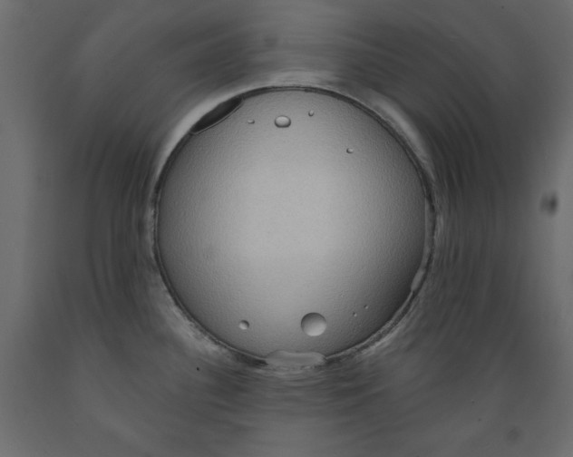 X0000088871340200707061339