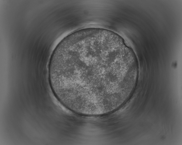 X0000088871341200707061339