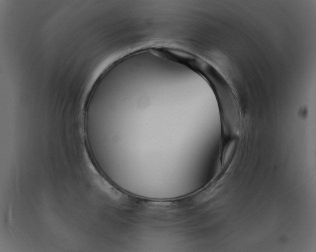 X0000088871342200707061339
