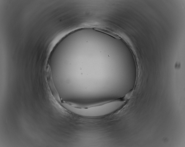 X0000088871344200707061339
