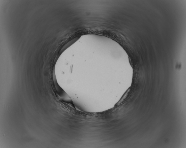 X0000088871345200707061339