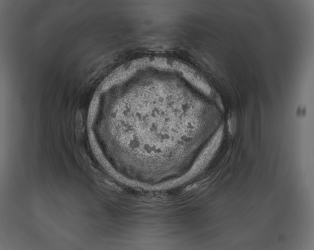 X0000088871347200707061339