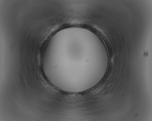 X0000088871348200707061338