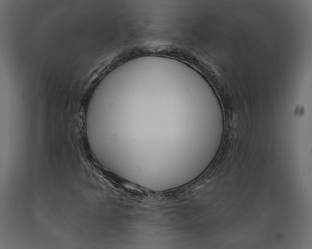 X0000088871349200707061338