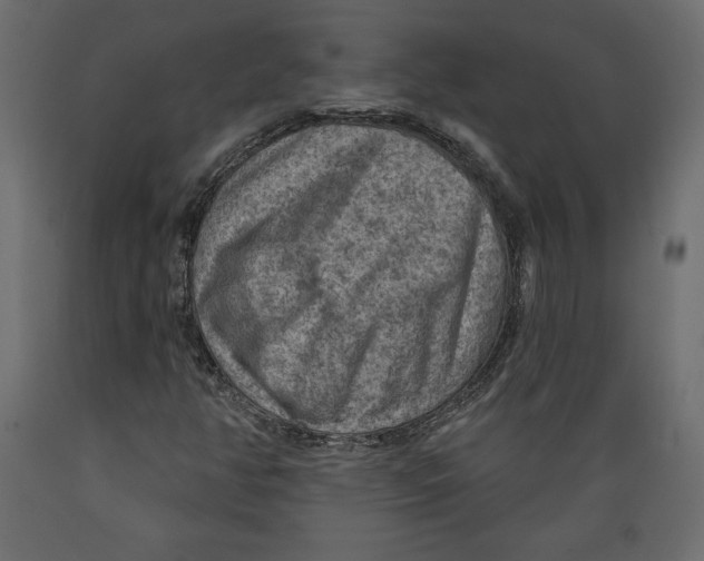 X0000088871350200707061338