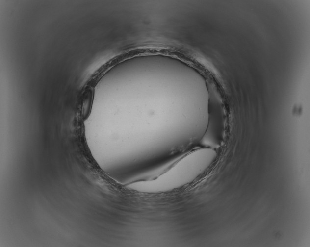 X0000088871352200707061338