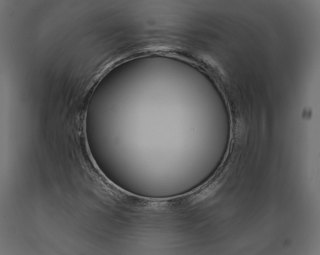 X0000088871353200707061338