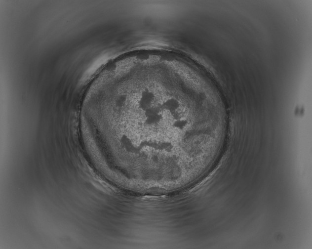 X0000088871355200707061338