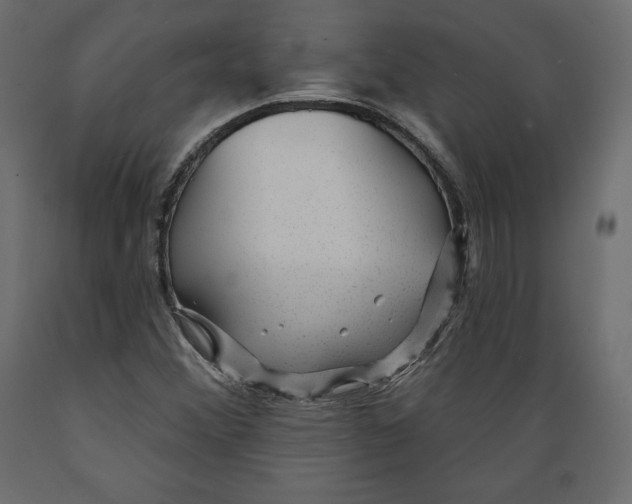 X0000088871356200707061338