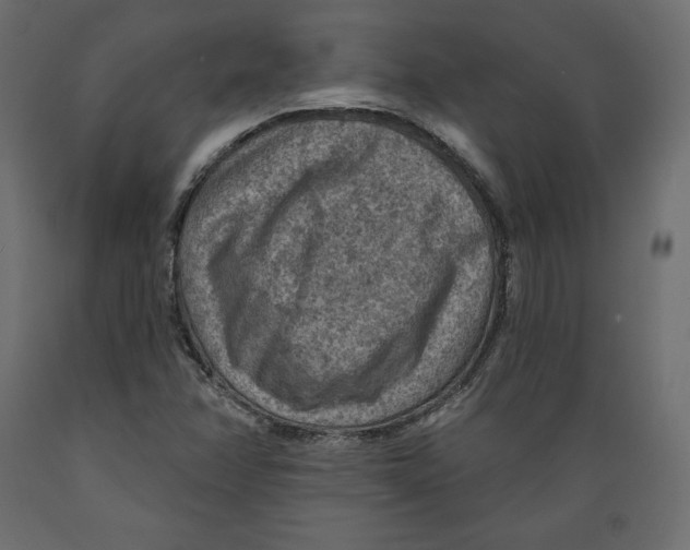X0000088871358200707061338