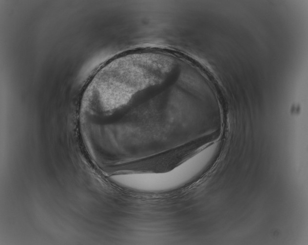 X0000088871359200707061338