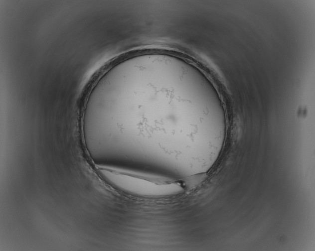 X0000088871360200707061338