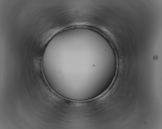 X0000088871361200707061338