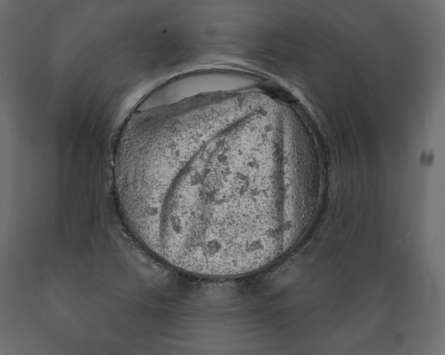 X0000088871363200707061338
