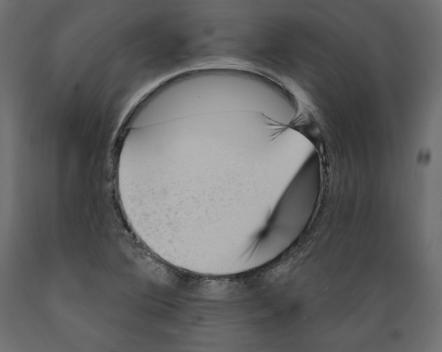 X0000088871364200707061338