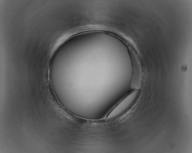 X0000088871365200707061338