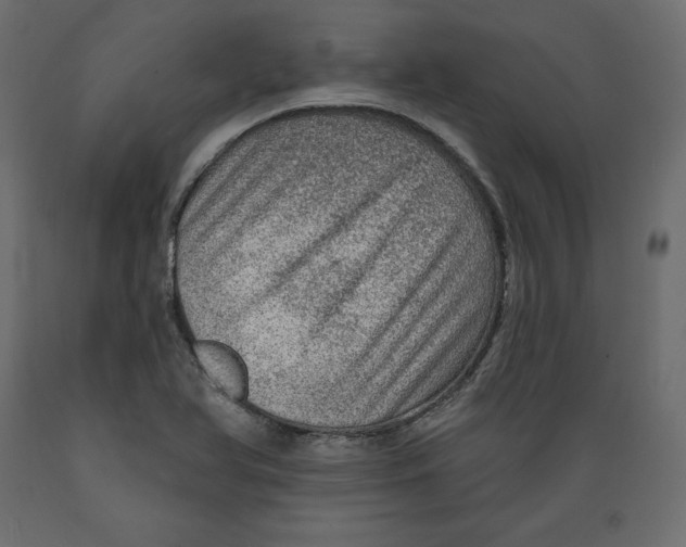 X0000088871366200707061338