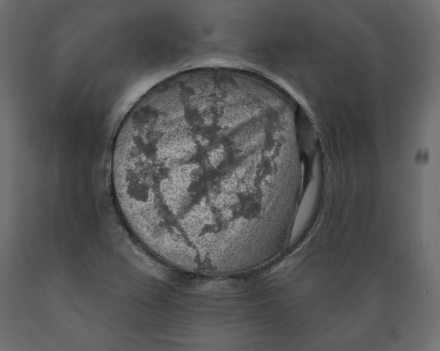 X0000088871367200707061338