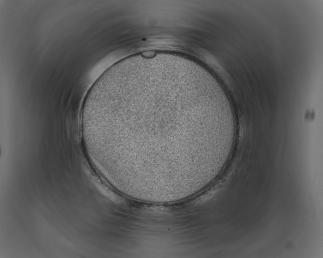 X0000088871370200707061338