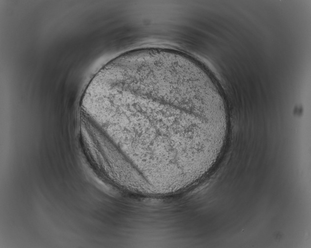 X0000088871371200707061338