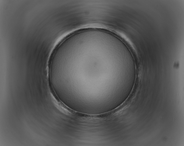 X0000088871372200707061338