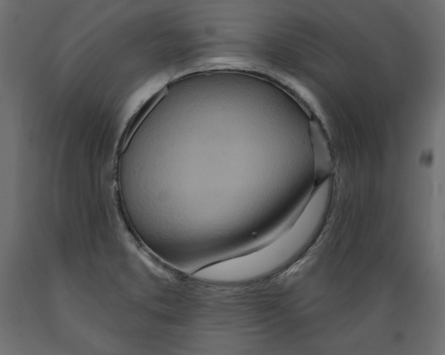 X0000088871373200707061338