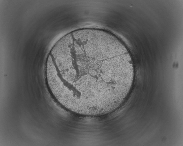 X0000088871375200707061338