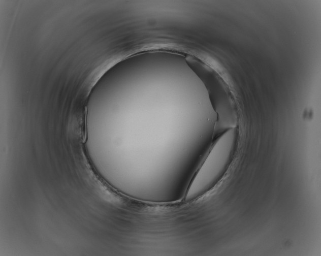 X0000088871377200707061338