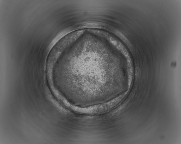 X0000088871378200707061338