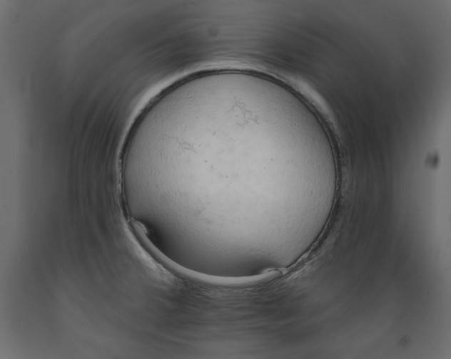 X0000088871380200707061338