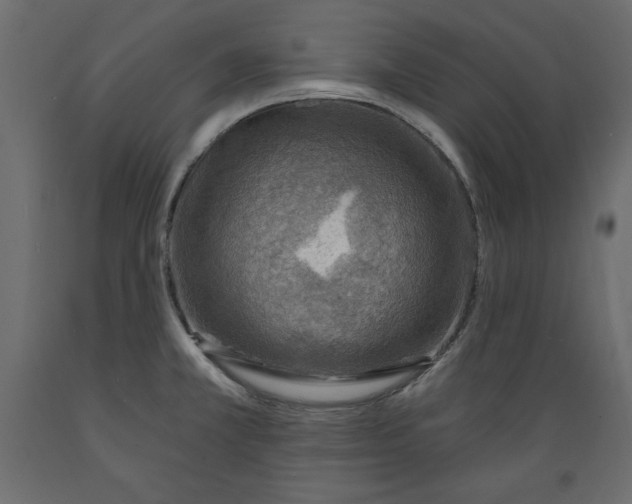 X0000088871381200707061338