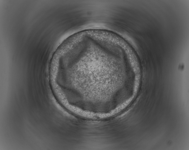 X0000088871382200707061338