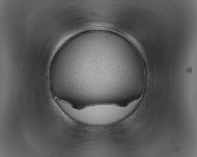 X0000088871384200707061338