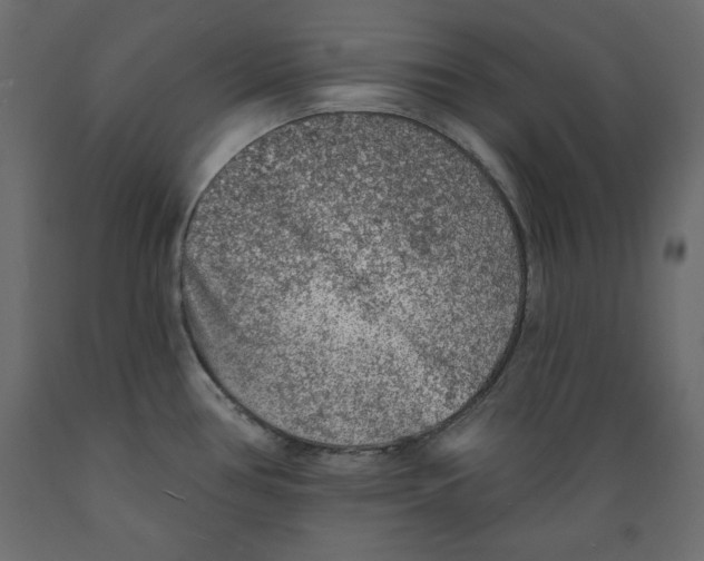 X0000088871386200707061338