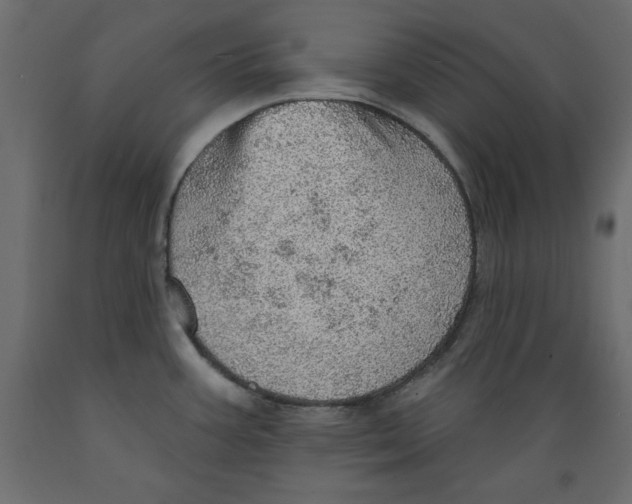 X0000088871387200707061338