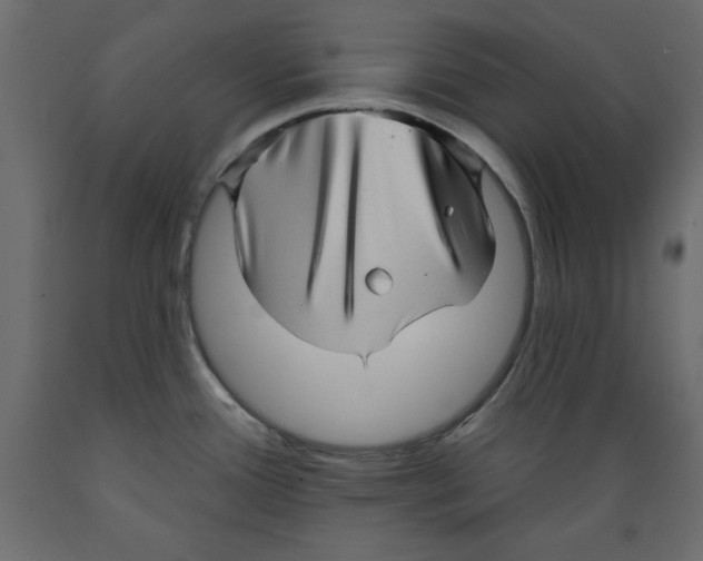 X0000088871388200707061338