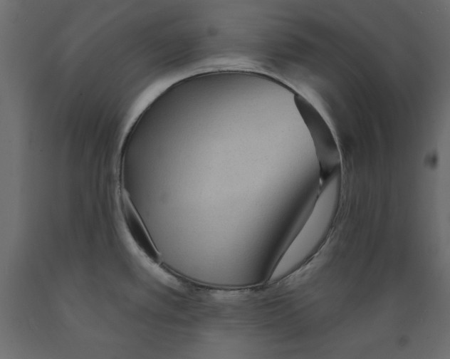 X0000088871389200707061338