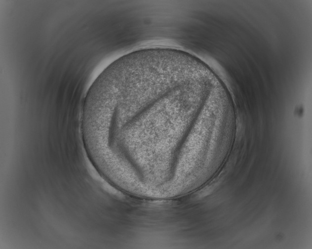 X0000088871390200707061338