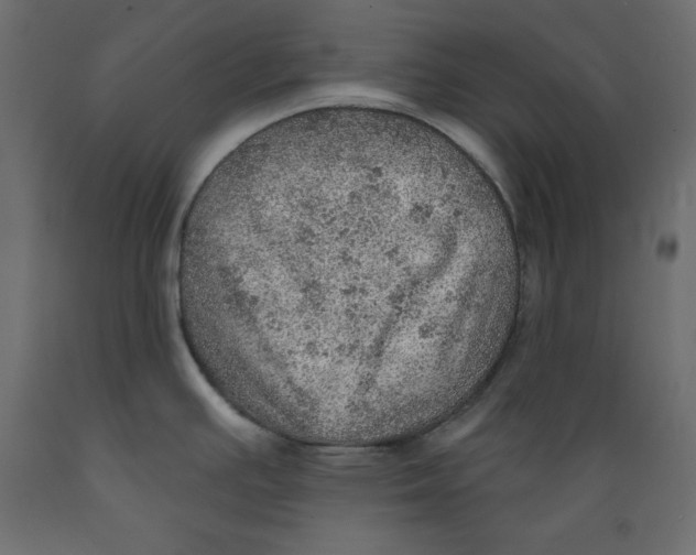 X0000088871391200707061338