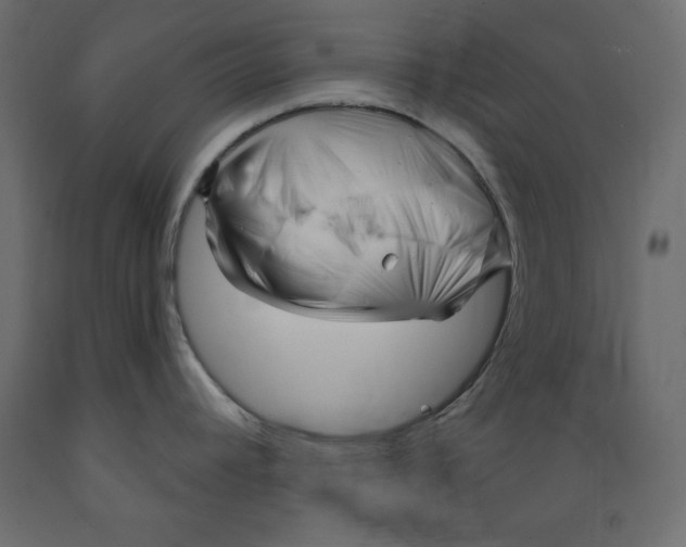 X0000088871392200707061338
