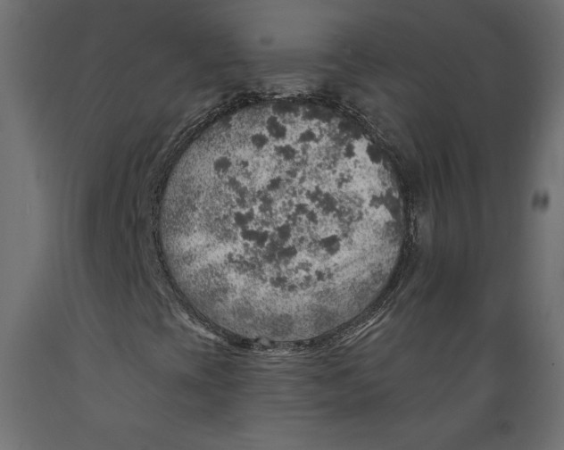 X0000088871393200707061337