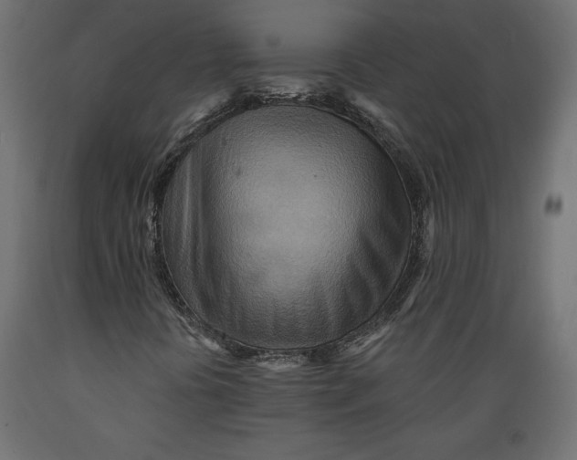 X0000088871394200707061337