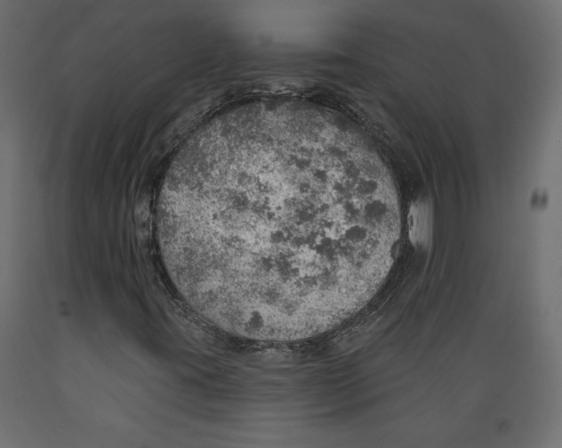 X0000088871395200707061337