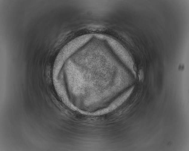 X0000088871396200707061337