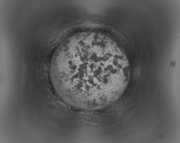 X0000088871397200707061337