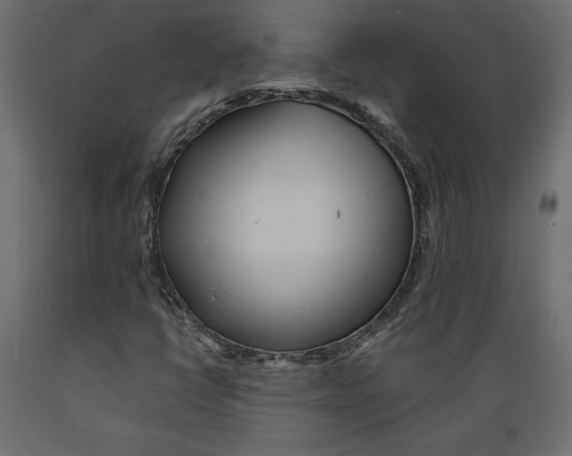 X0000088871398200707061337