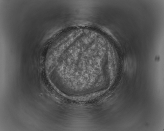 X0000088871399200707061337