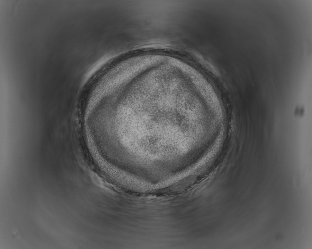 X0000088871400200707061337