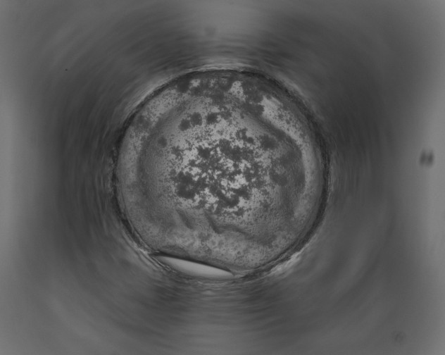 X0000088871401200707061337